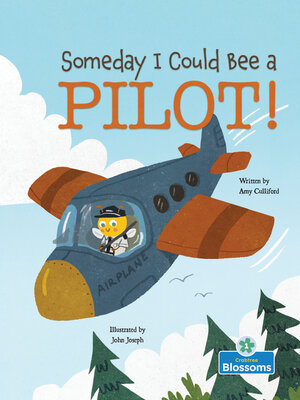 cover image of Someday I Could Bee a Pilot!